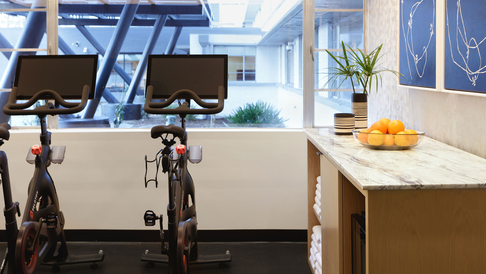 fitness center with peloton bike and large window looking outside