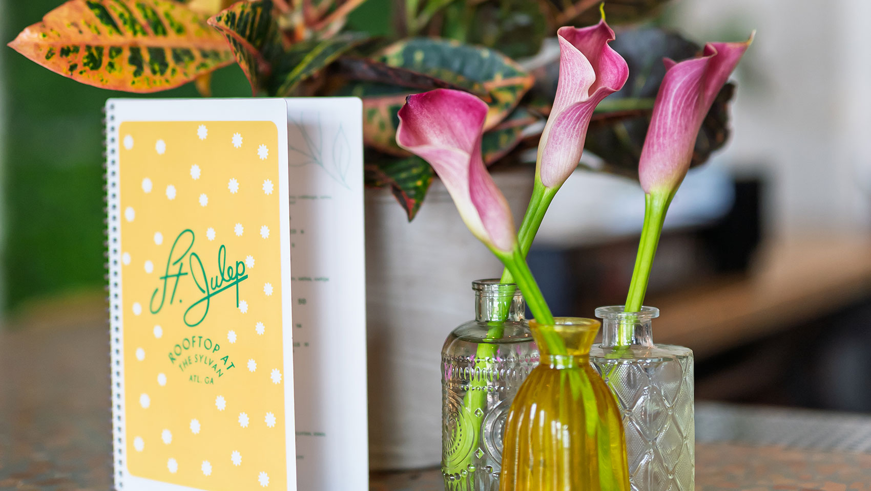Havana Nights Decor at Kimpton Sylvan Atlanta - Buckhead