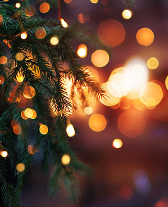 holiday tree with sparkling gold lights